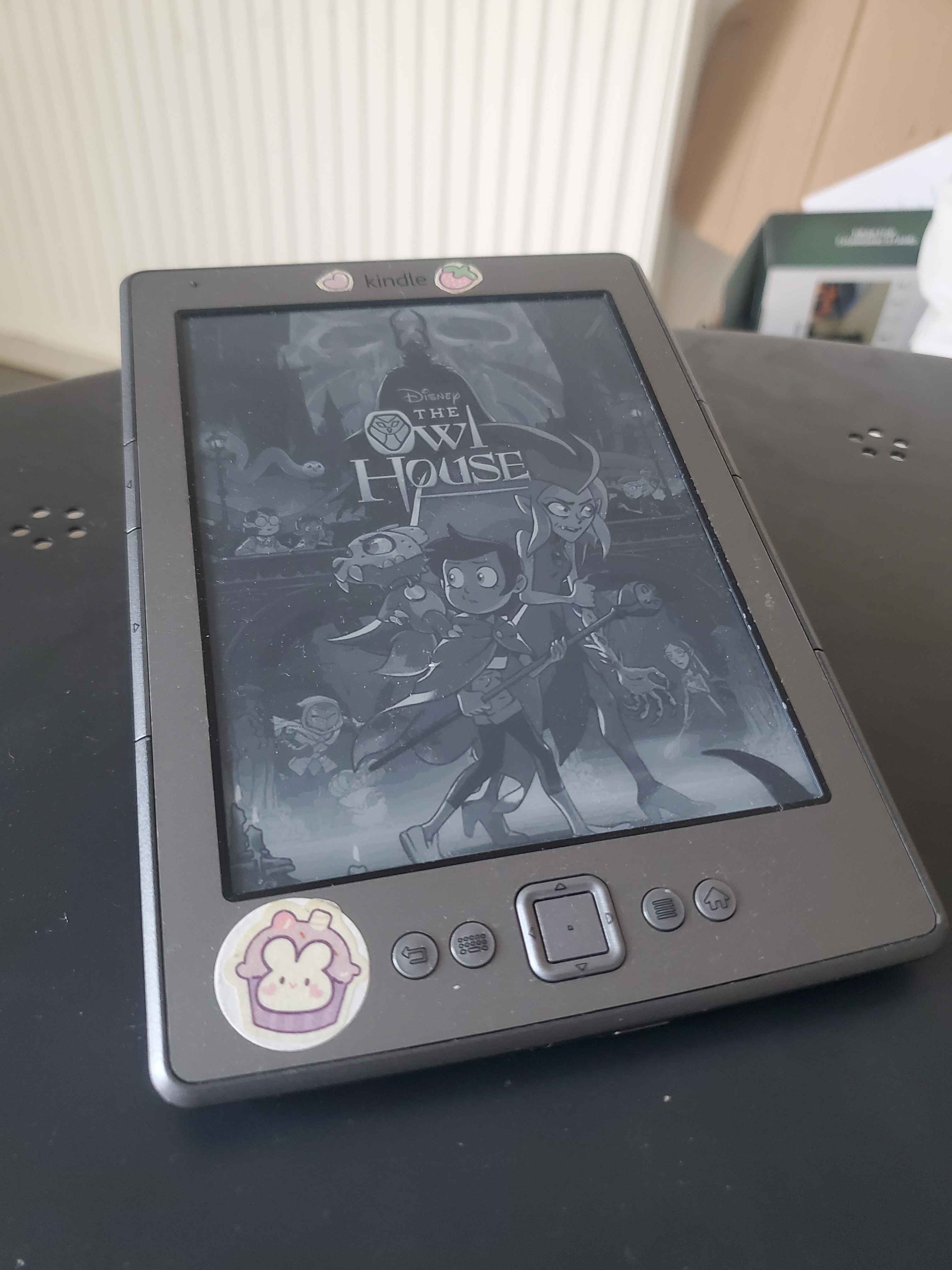 ereader.jpg